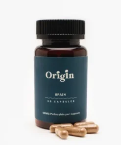 Brain Health Mushroom Capsules