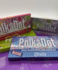 polka dot mushroom chocolate