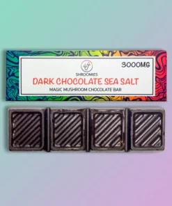 Dark Chocolate Mushroom Edibles (3000mg)